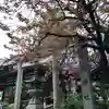 白龍神社の鳥居