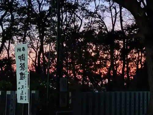 保久良神社の自然