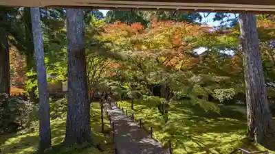 三千院門跡(京都府)