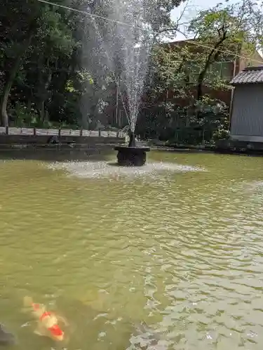 白山神社（二子町）の動物