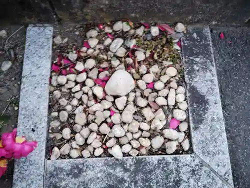 熊野神社の自然