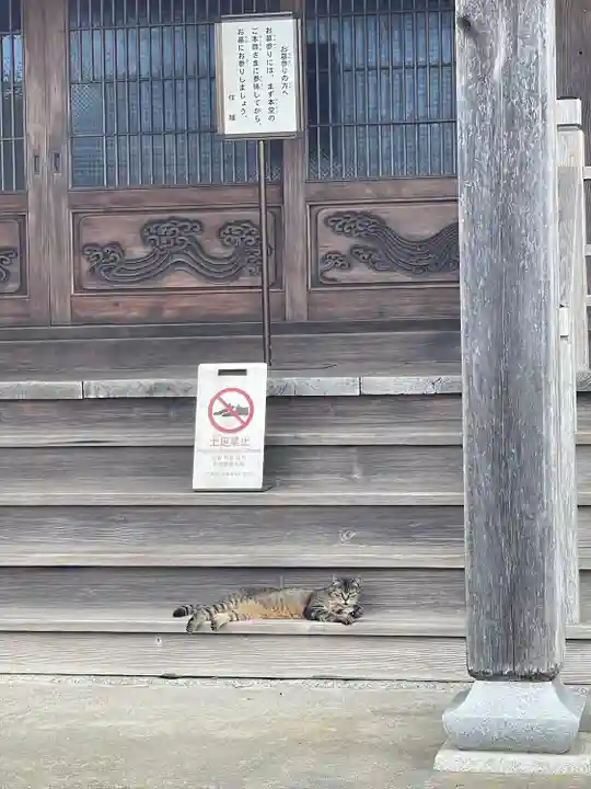 潮見寺(静岡県)