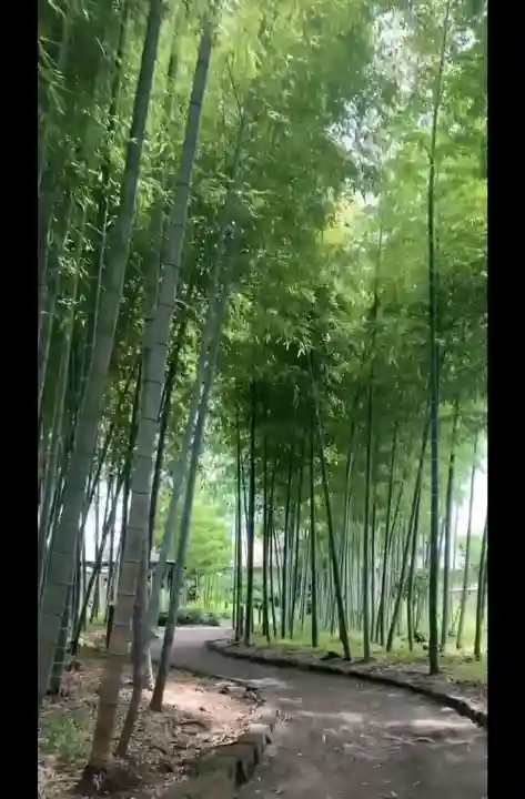 武蔵一宮氷川神社(埼玉県)