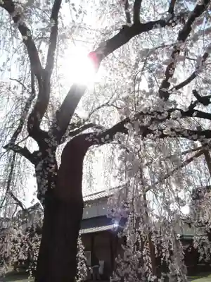 慶龍寺(茨城県)