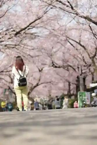 密藏院(埼玉県)
