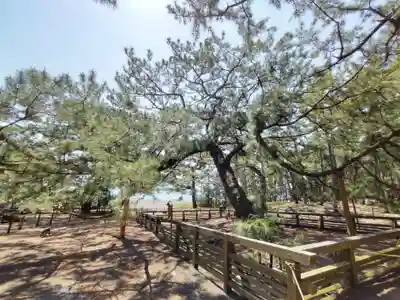 御穂神社の周辺