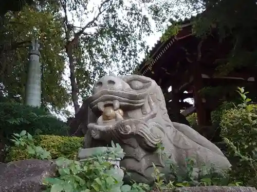 善養寺（善養密寺）(東京都)