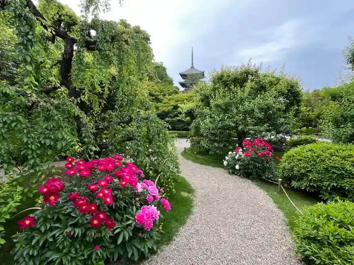 東寺(教王護国寺)(京都府)