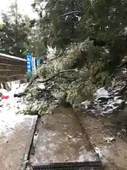 熊野神社の建物その他