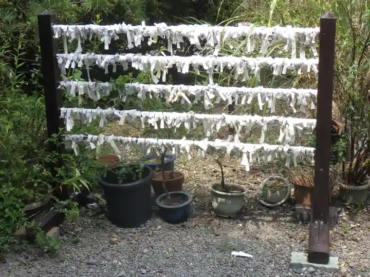 梅宮大社のおみくじ