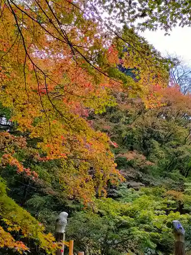 百済寺の庭園