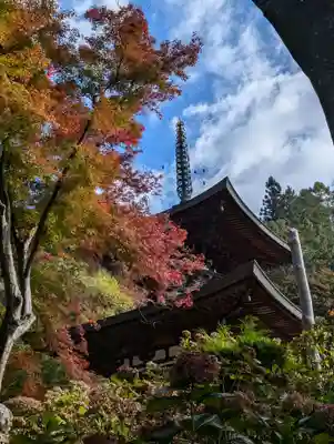 温泉寺(長野県)
