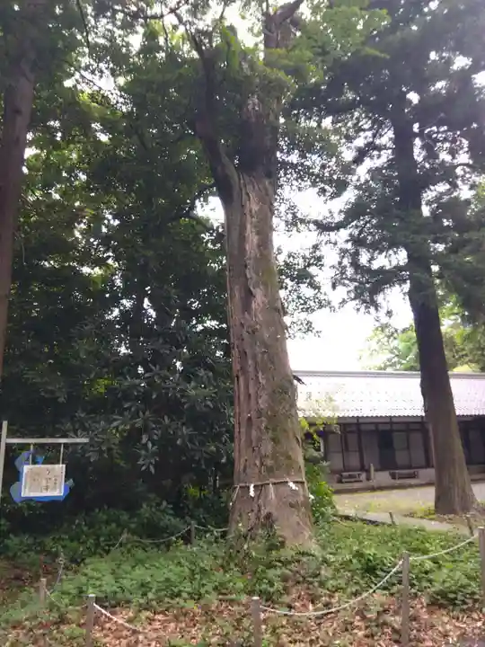 青海神社(福井県)