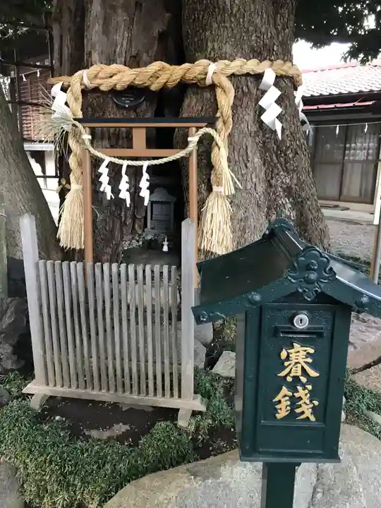 嶺白山神社の自然