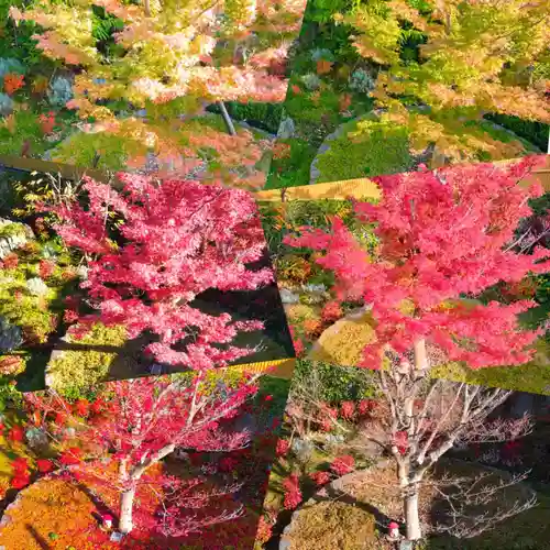 寿量山　速成寺(奈良県)