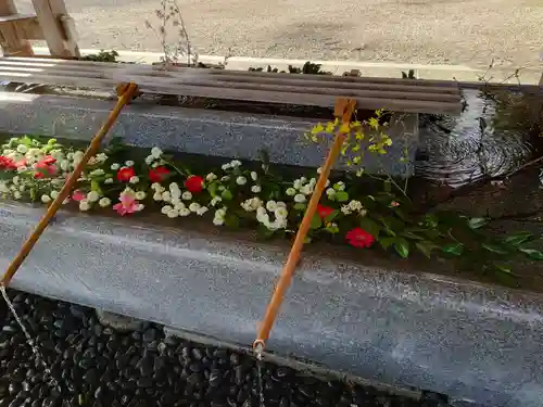 射水神社の手水舎