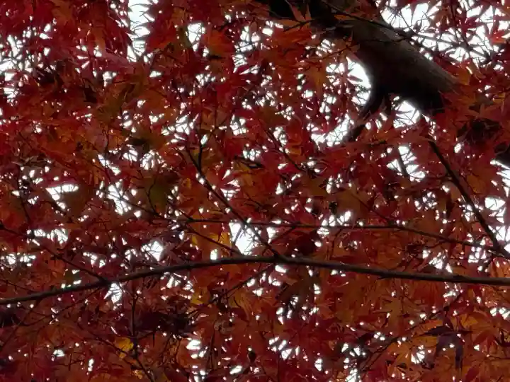 高麗神社(埼玉県)