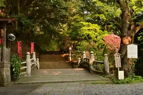 唐澤山神社(栃木県)