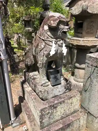 春日神社の狛犬