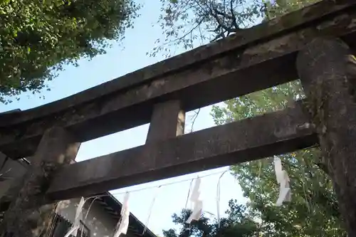 秋葉神社の鳥居