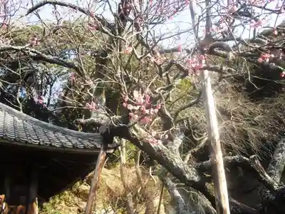 瑞泉寺のその他建物