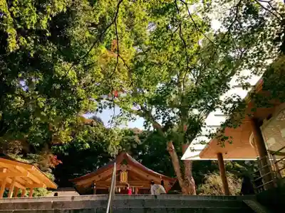 宝満宮竈門神社のその他建物