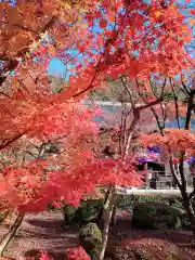 禅林寺（永観堂）(京都府)