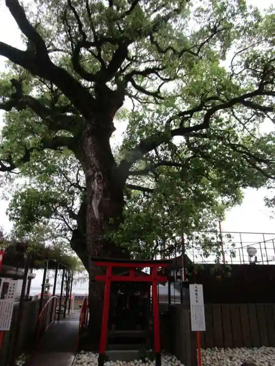金剛宝寺(紀三井寺)(和歌山県)