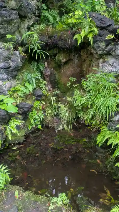 観音山慈眼院(高崎観音)の{uncategorized: "未分類", other: "その他", undefined: "問題あり", building: "その他建物", grave: "お墓", sacred_gate: "鳥居", guardian: "狛犬", statue: "像", buddha: "仏像", history: "歴史", nature: "自然", garden: "庭園", animal: "動物", pagoda: "塔", temizu: "手水舎", mountain_gate: "山門・神門", sanctuary: "本殿・本堂", subordinate: "末社・摂社", art: "芸術", scenery: "景色", jizo: "地蔵", ema: "絵馬", goshuin: "御朱印", omikuji: "おみくじ", items: "授与品その他", amulet: "お守り", goshuincho: "御朱印帳", eats: "食事", festival: "お祭り", votive_dance: "神楽", shichigosan: "七五三参", wedding: "結婚式", experience: "体験その他", initially: "初詣", around: "周辺", anti_infection: "感染症対策"}