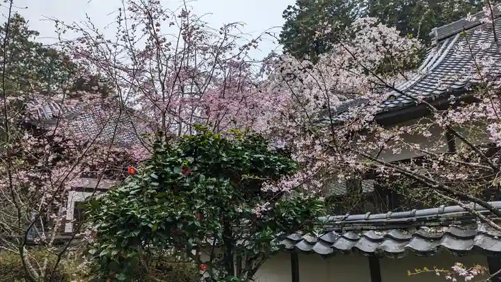 十輪寺(京都府)