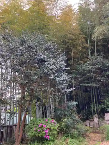 正蔵院(神奈川県)