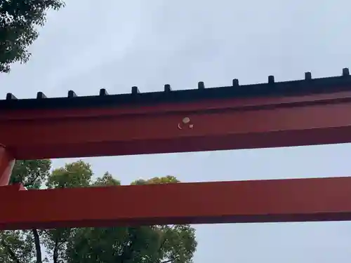 城南宮(京都府)