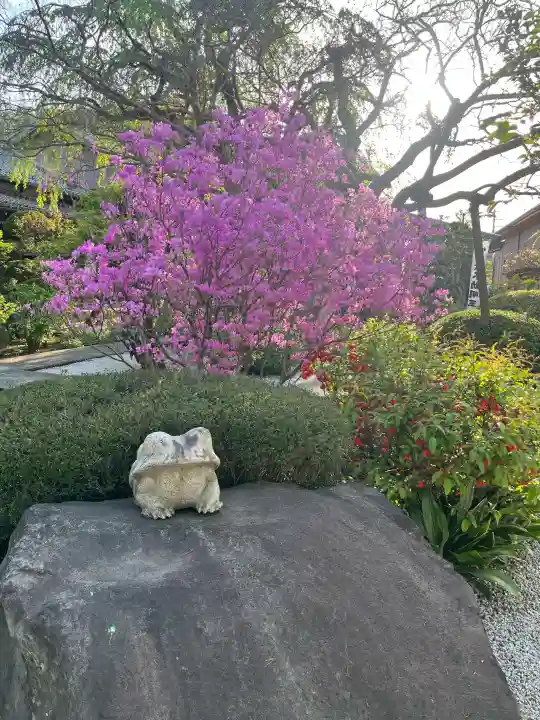 大光寺の{uncategorized: "未分類", other: "その他", undefined: "問題あり", building: "その他建物", grave: "お墓", sacred_gate: "鳥居", guardian: "狛犬", statue: "像", buddha: "仏像", history: "歴史", nature: "自然", garden: "庭園", animal: "動物", pagoda: "塔", temizu: "手水舎", mountain_gate: "山門・神門", sanctuary: "本殿・本堂", subordinate: "末社・摂社", art: "芸術", scenery: "景色", jizo: "地蔵", ema: "絵馬", goshuin: "御朱印", omikuji: "おみくじ", items: "授与品その他", amulet: "お守り", goshuincho: "御朱印帳", eats: "食事", festival: "お祭り", votive_dance: "神楽", shichigosan: "七五三参", wedding: "結婚式", experience: "体験その他", initially: "初詣", around: "周辺", anti_infection: "感染症対策"}