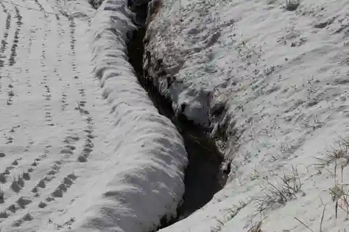 鹿島大神宮の自然