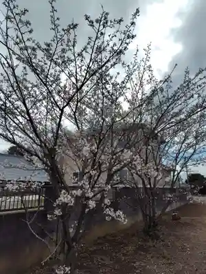 八幡神社(埼玉県)
