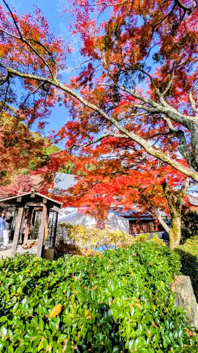 勝尾寺(大阪府)