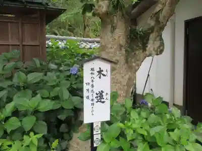 円覚寺(神奈川県)