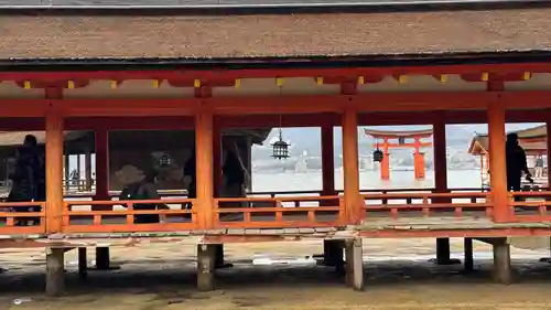 厳島神社(広島県)