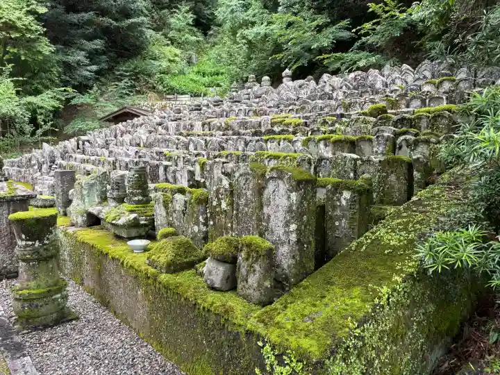 長谷寺(奈良県)