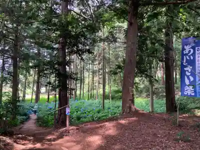 大宝八幡宮(茨城県)