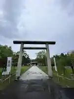 札幌護國神社の鳥居