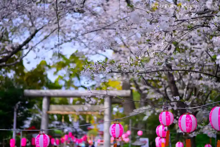 米之宮浅間神社(静岡県)
