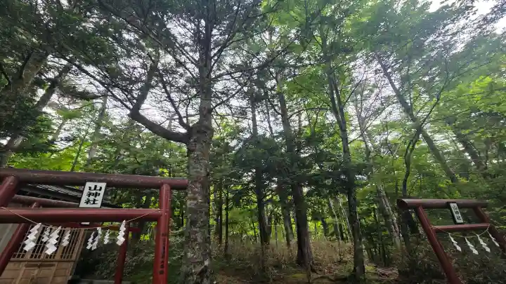 新屋山神社奥宮(山梨県)