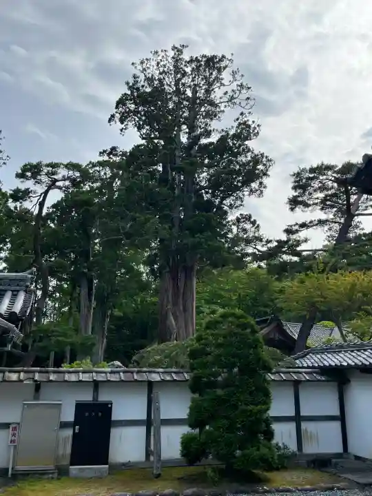 瑞巌寺(宮城県)