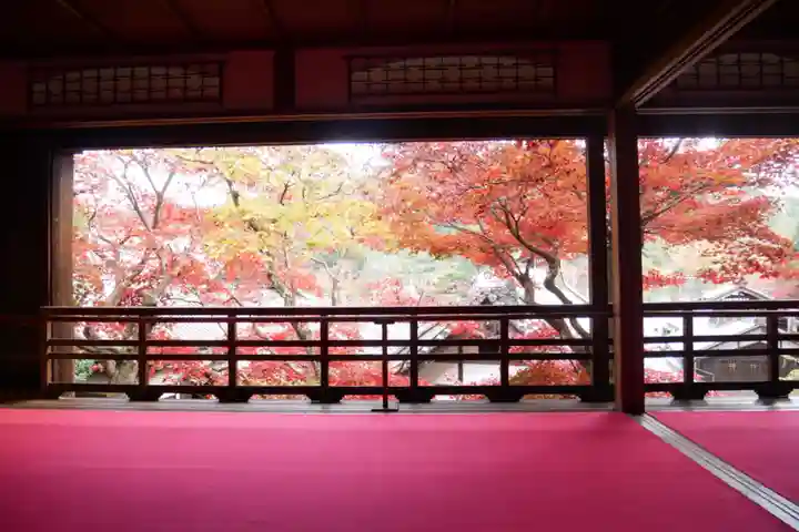 柳谷観音 楊谷寺の景色