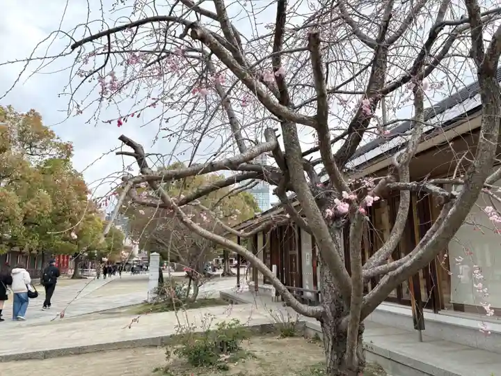 四天王寺(大阪府)
