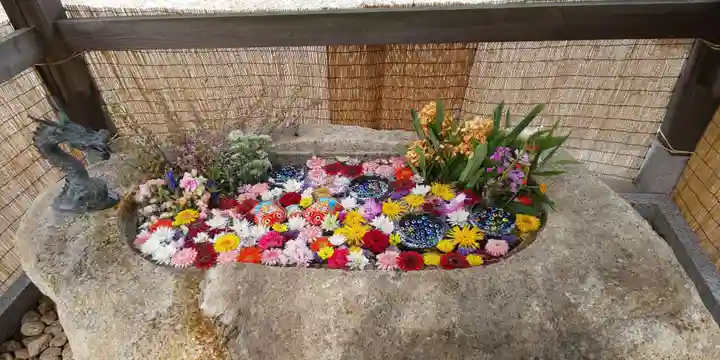 金井神社の手水舎