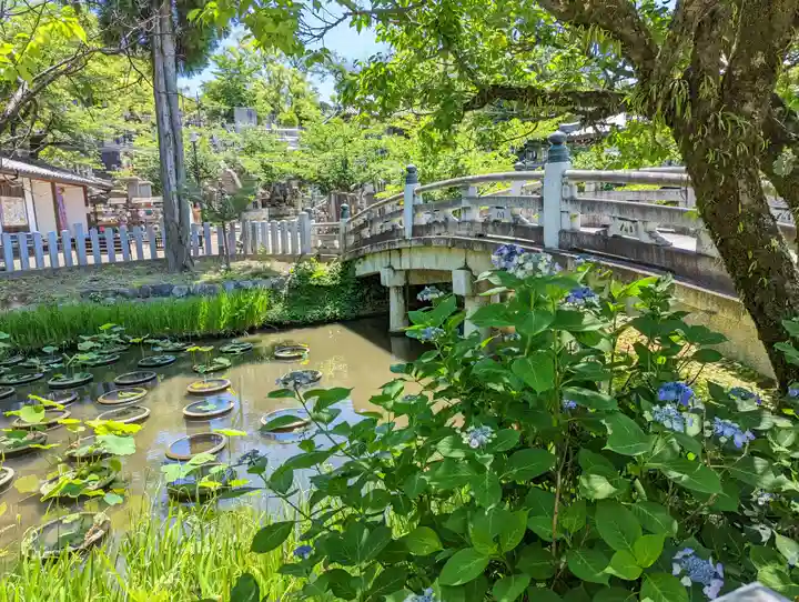 くろ谷 金戒光明寺(京都府)