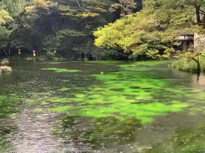 富士山本宮浅間大社(静岡県)