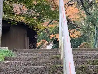 二柱神社 (筑波山神社)の動物